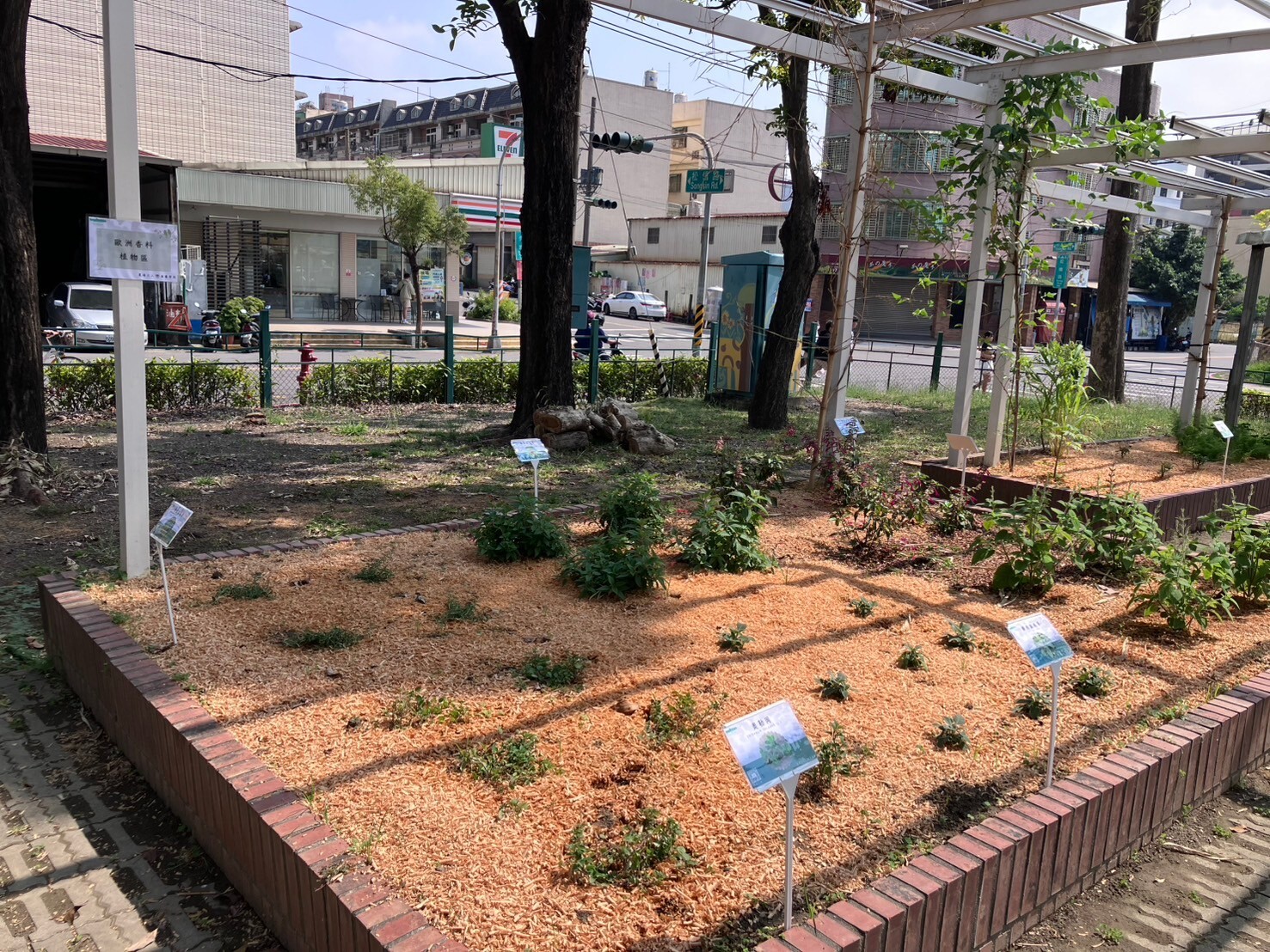 113-2 植栽種植