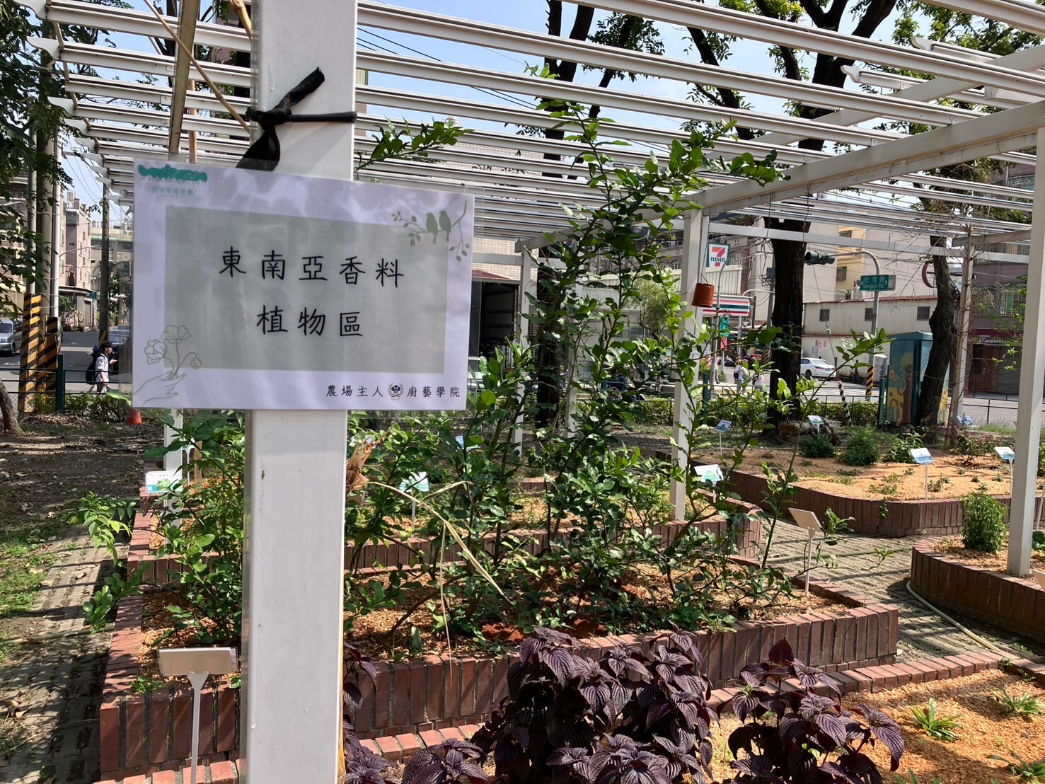 113-2 植栽種植