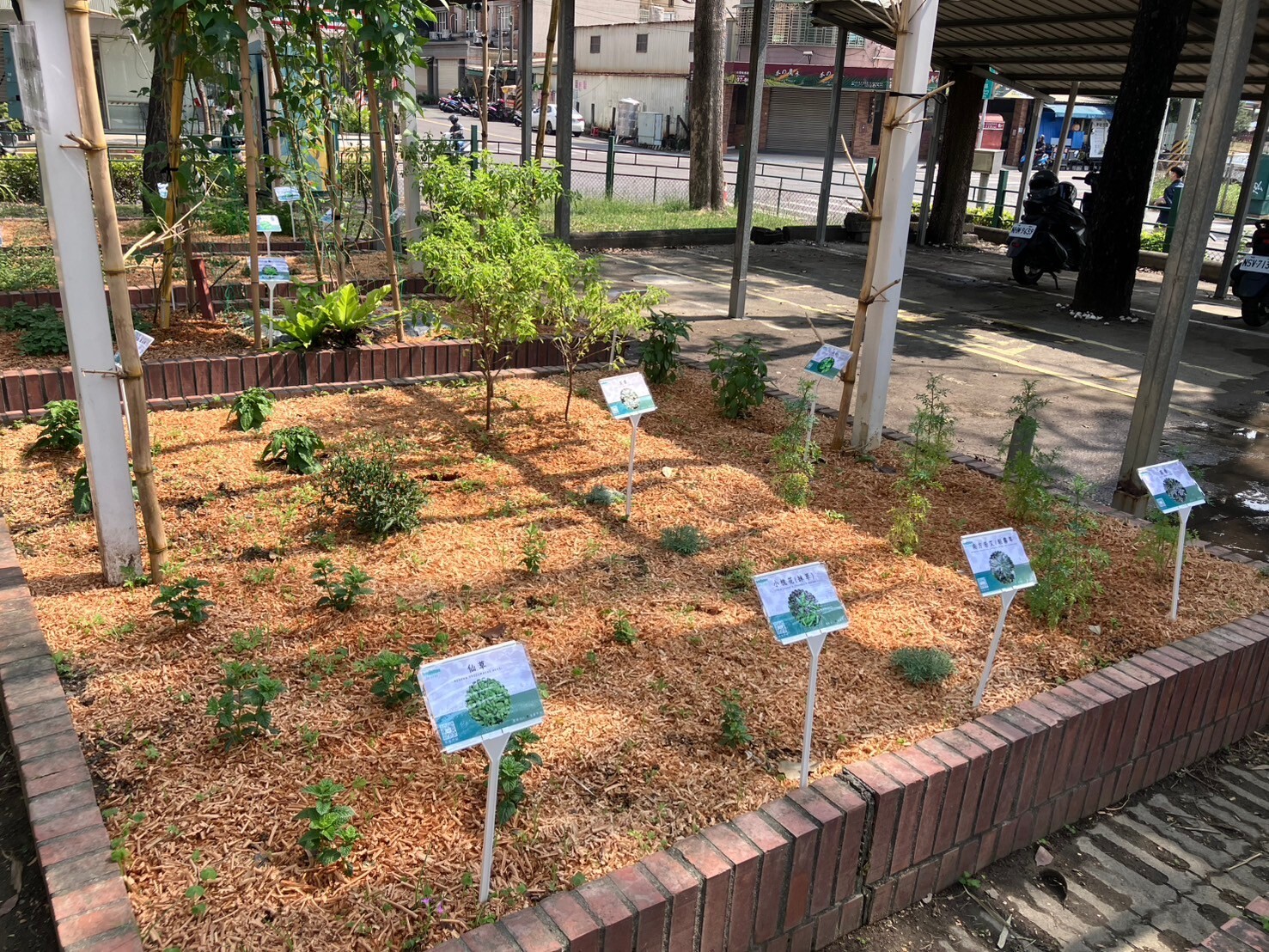 113-2 植栽種植